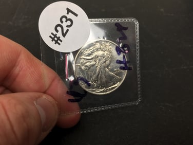 1943 Walking Liberty Half Dollar Coin