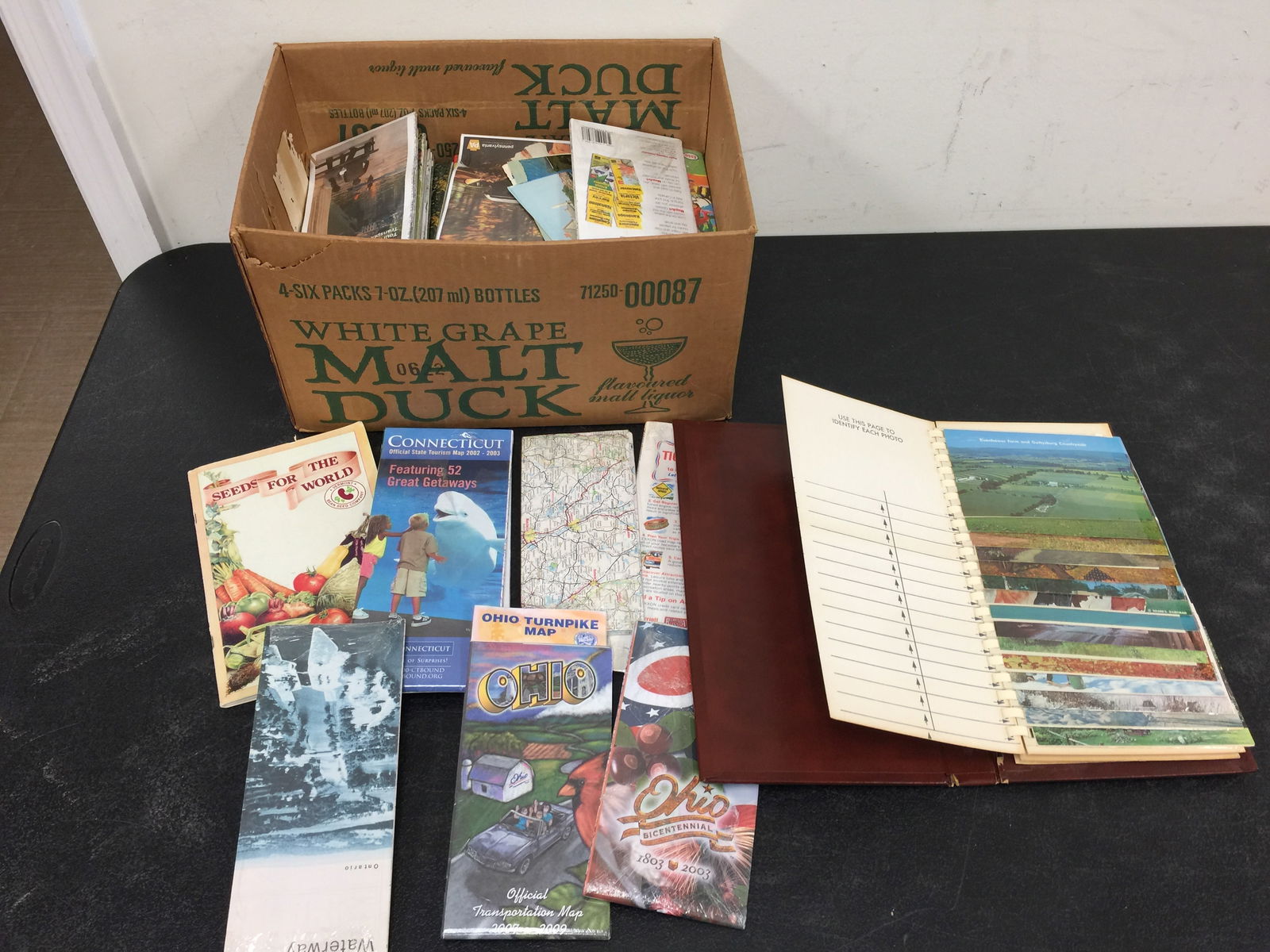 Vintage Post Cards and Travel Brochures (1 of 6)
