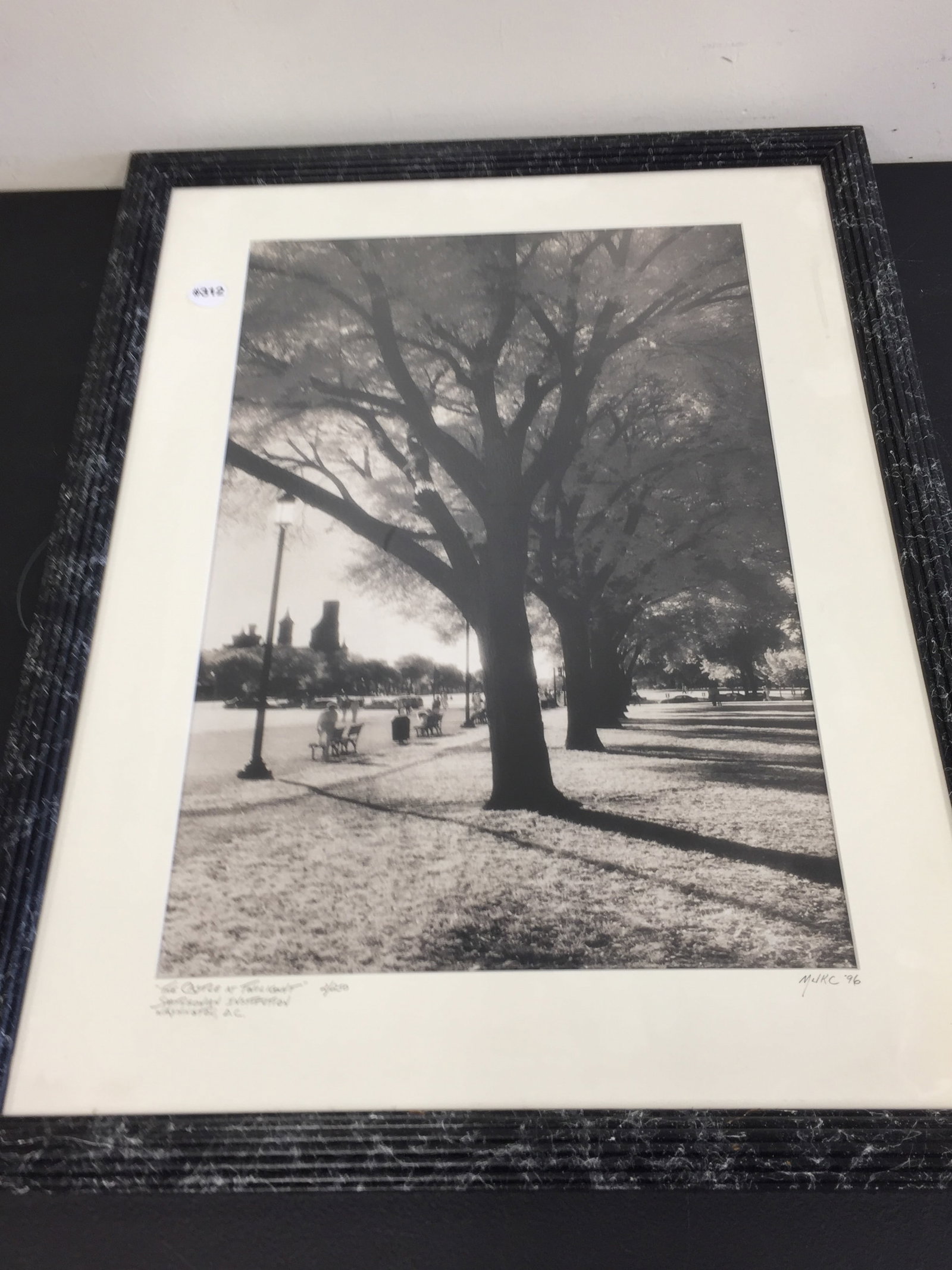 Martha J.K. Cline Artist Photographer (1 of 5)