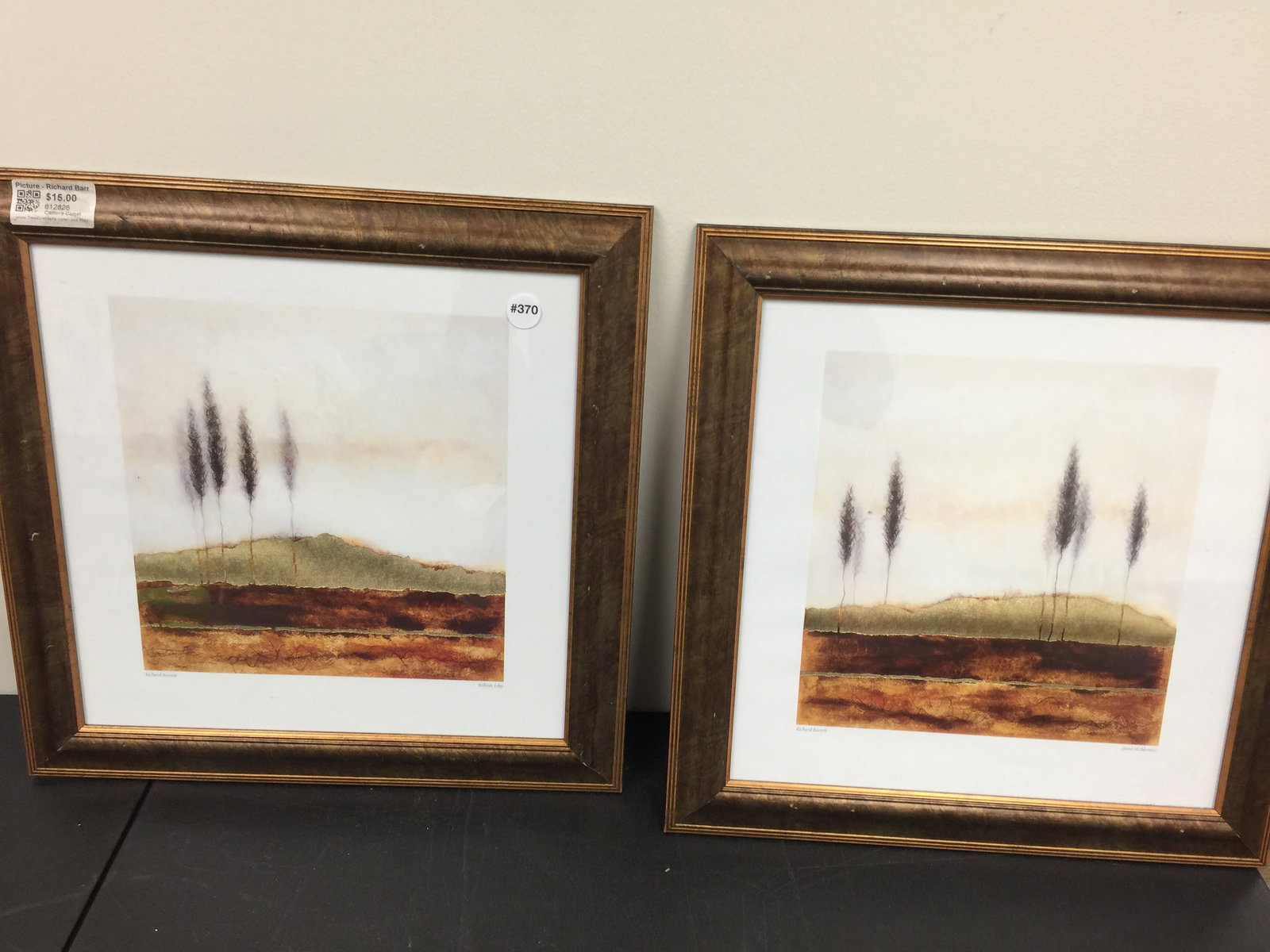 Richard Barrett Prints: Frames 19" x 20".