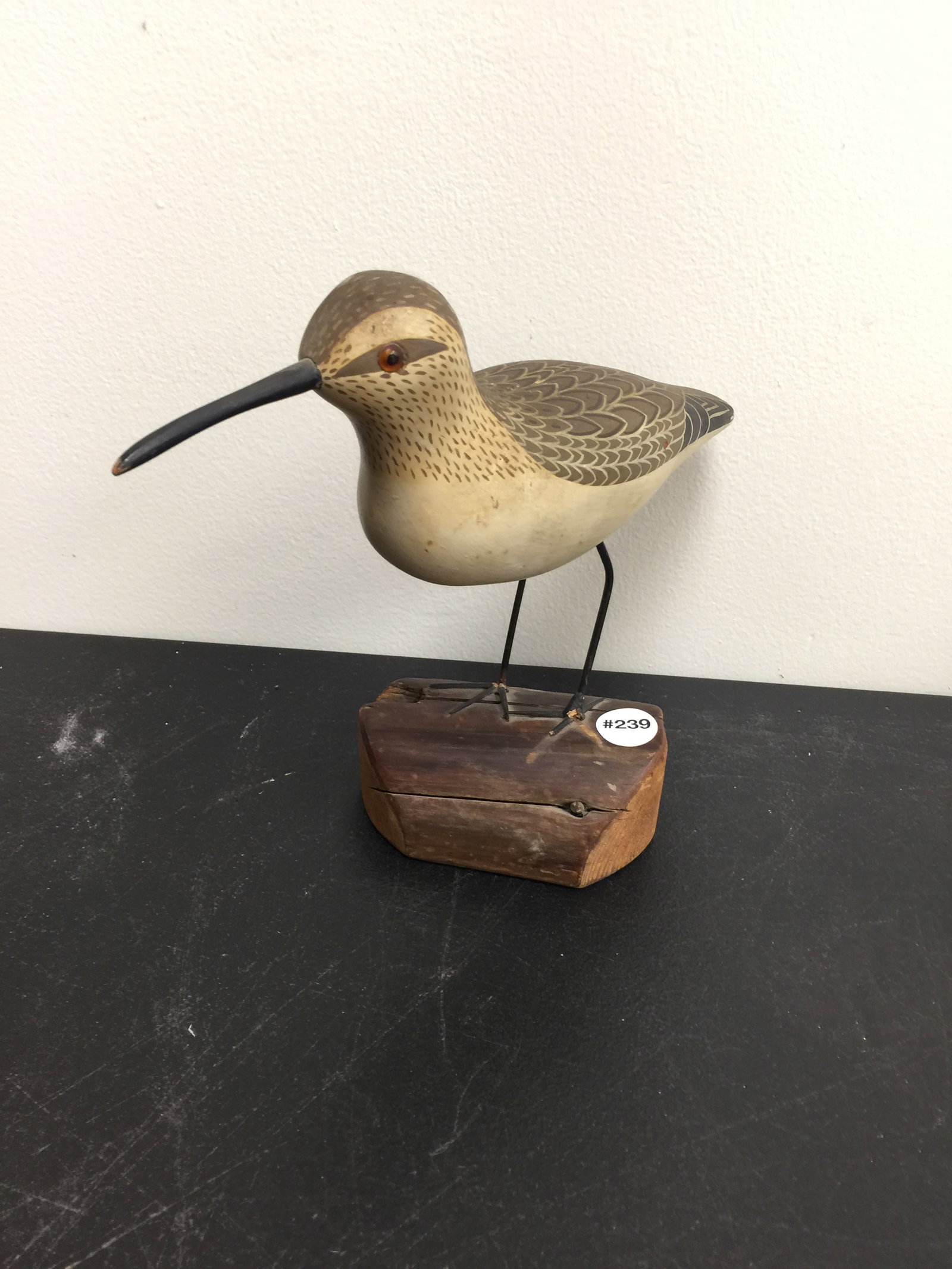 Carved Male Plover Shorebird: 12" x 10", signed on bottom