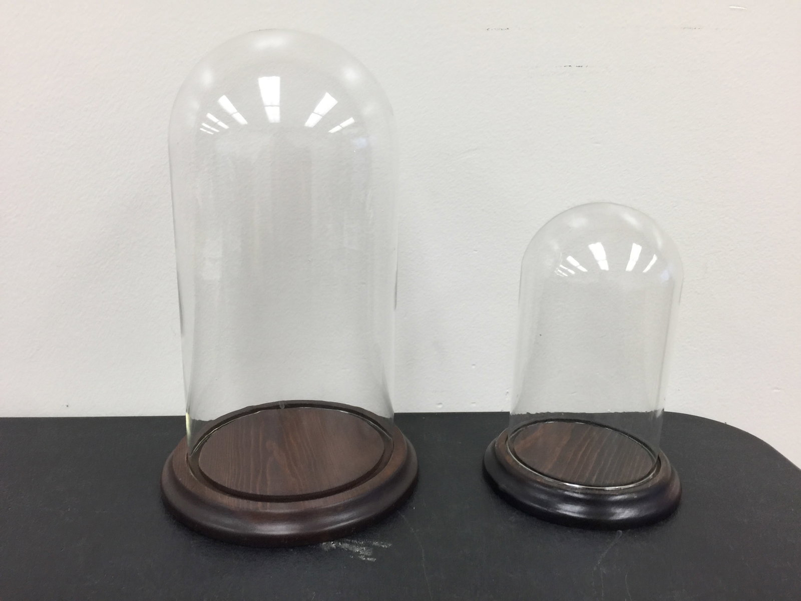 Glass Domes (2): 8" and 12".