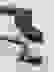 item-101744674=6