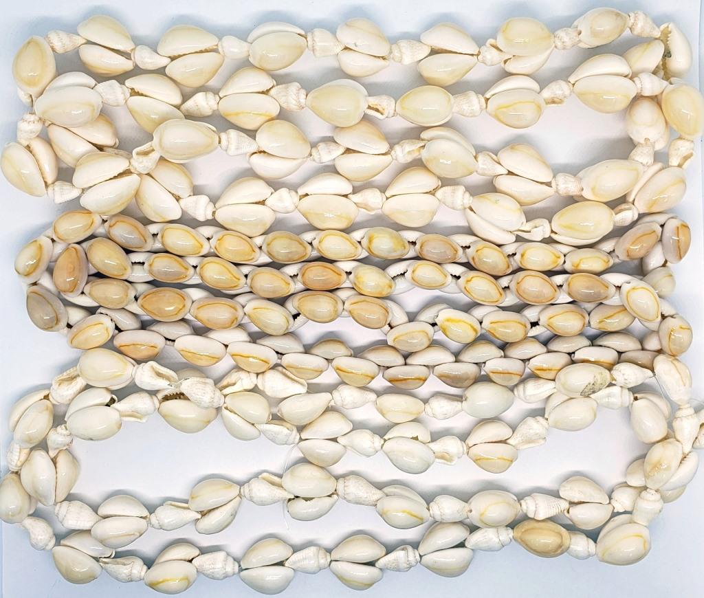 3 LONG SHELL NECKLACES!: .