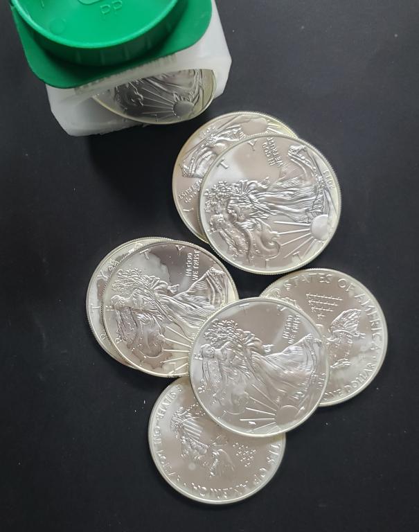 Roll of 2013 American Silver Eagle 999 Silver (1 of 1)