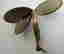 item-112053889=4