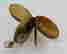item-112053907=4