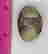 item-121356037=3