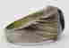 item-121356166=2
