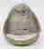 item-121356246=3