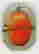 item-129070241=2