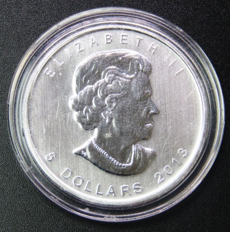 2013 CANADA 1oz SILVER $5 DOLLAR BUFFALO (1 of 2)