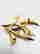 item-131756690=2