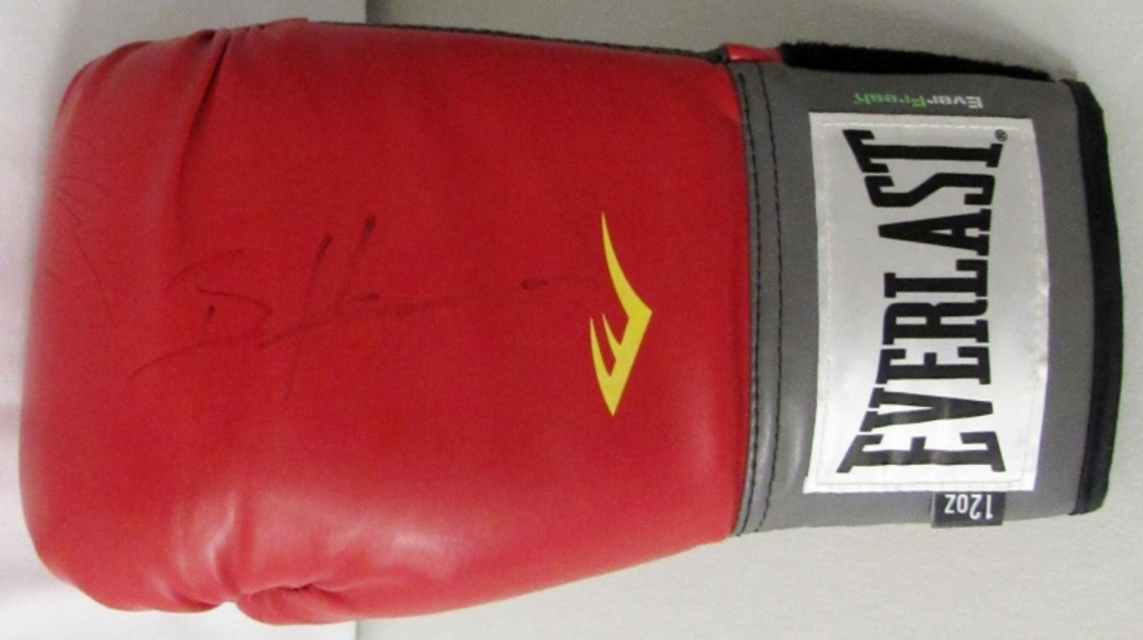 BERNARD HOPKINS & JULIO CHAVEZ AUTO GLOVE (1 of 3)