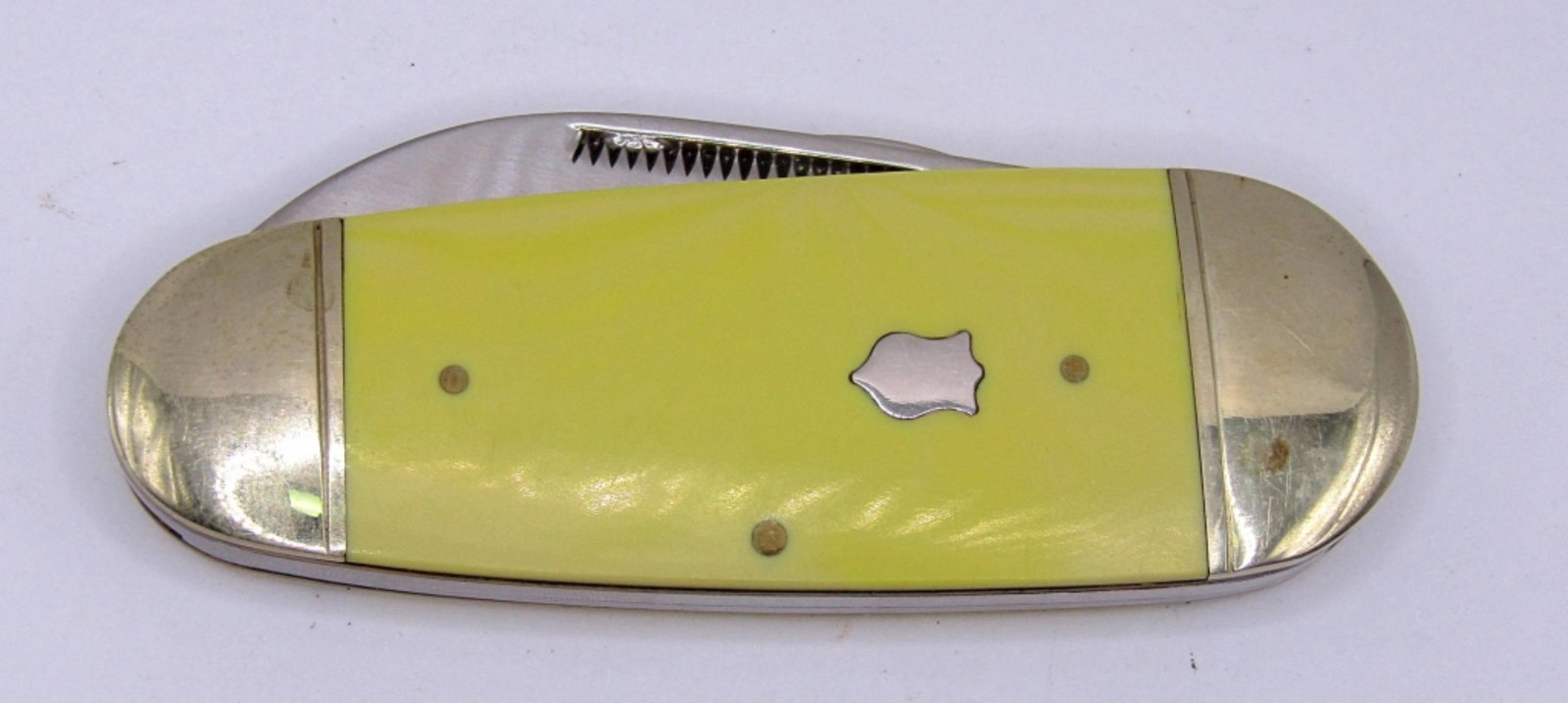 Rough Rider Bone Elephant Toe Pocket Knife: Sawcut Bone Elephant Toe Pocket Knife - VERY NICE CONDITION