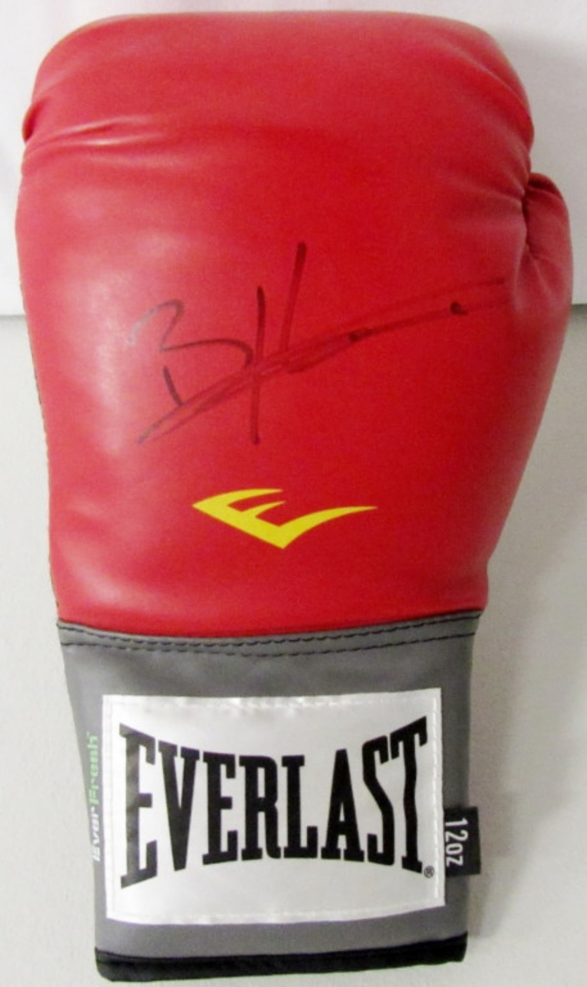 BERNARD HOPKINS & JULIO CHAVEZ AUTO GLOVE (1 of 3)