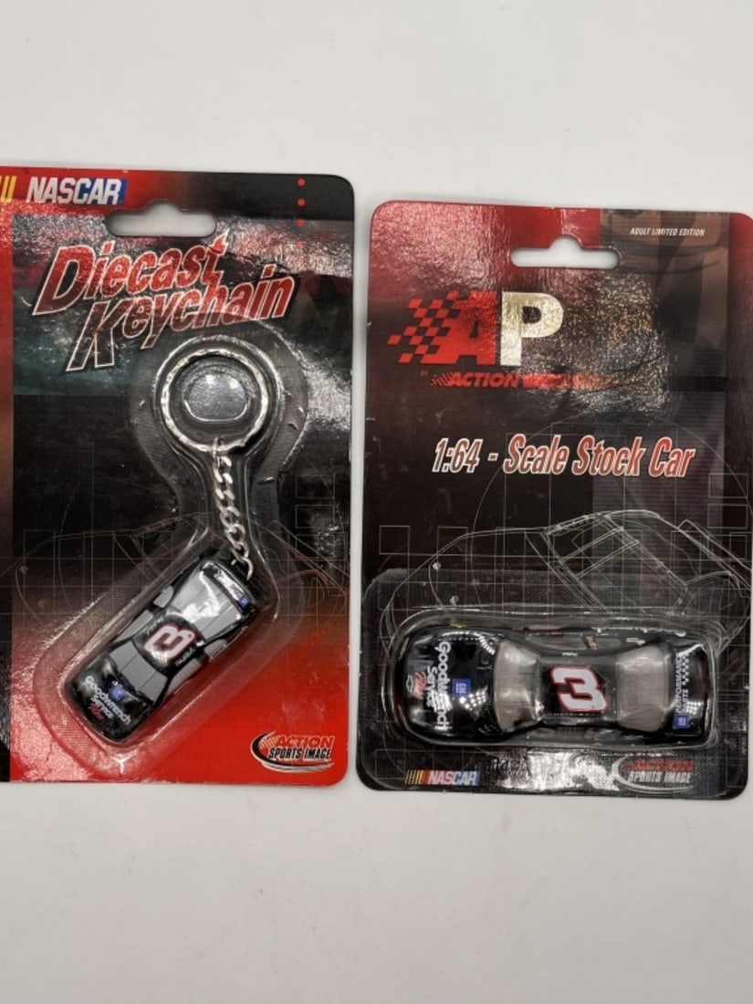 (2) Dale Earnhardt Cars (1 of 2)