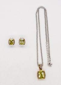 BEAUTIFUL NECKLACE & EARRING SET