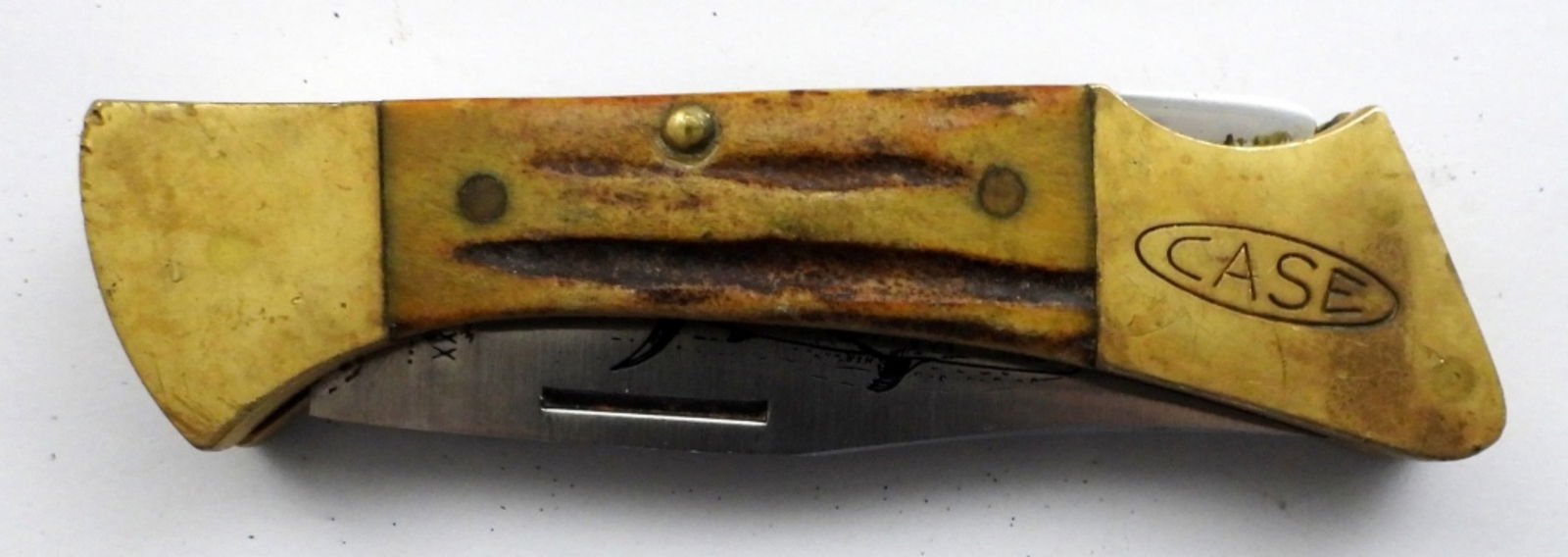 CASE XX MAKO SHARK LOCK-BACK KNIFE (1 of 3)