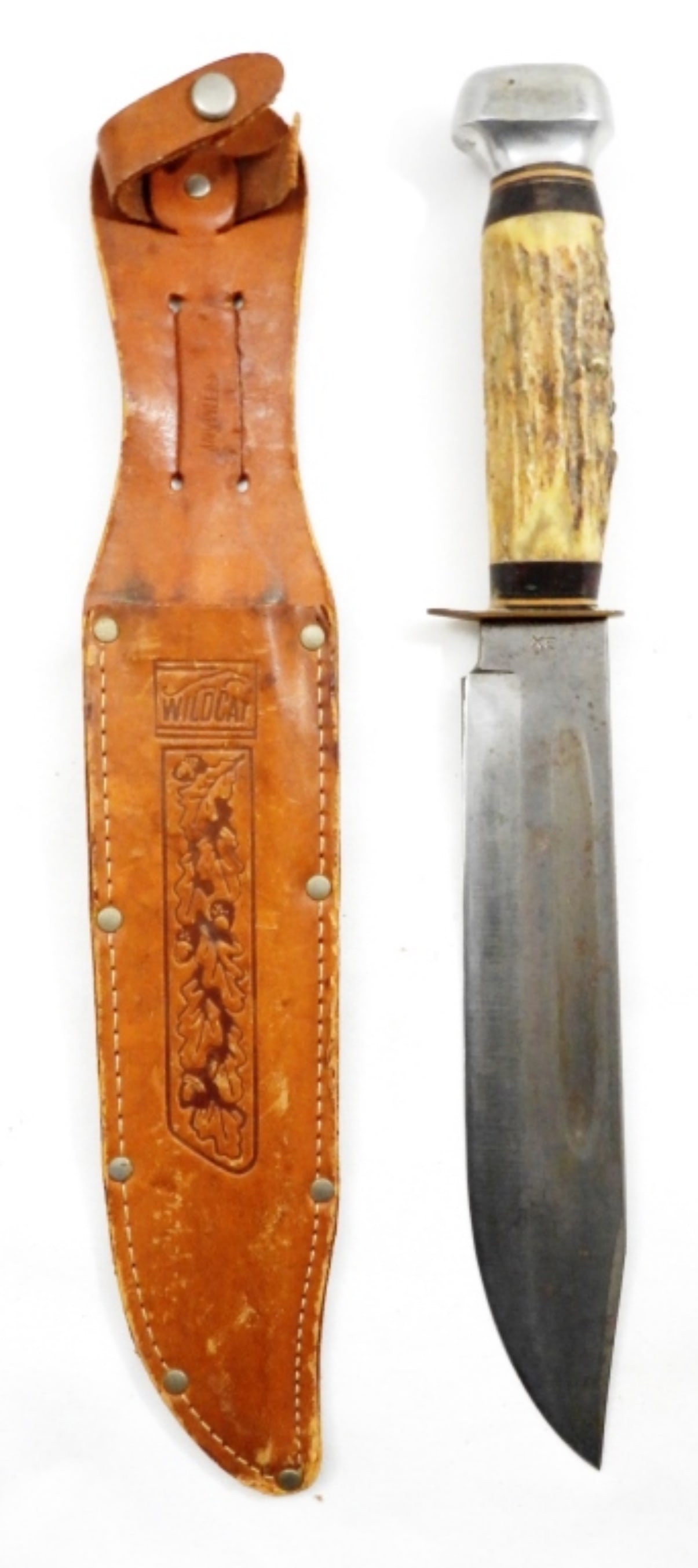 Wildcat Solingen Germany Hunting Knife: Fixed 8" Blade with Leather Sheath & Stag Handle