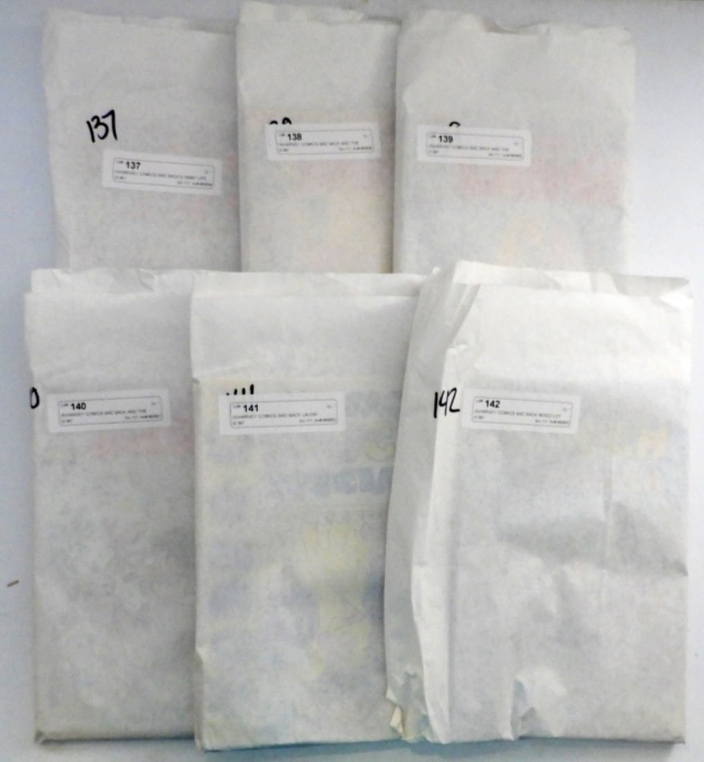 MYSTERY PRE-BAGGED COMIC LOT: UNKOWN - UNSEARCHED - POSSIBLE BIG FINDS