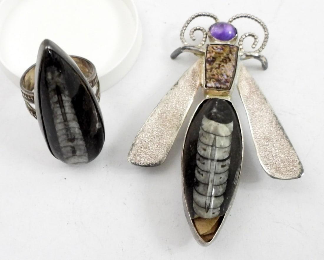 ORTHOCERAS FOSSIL GEMSTONE 925 LOT (1 of 2)