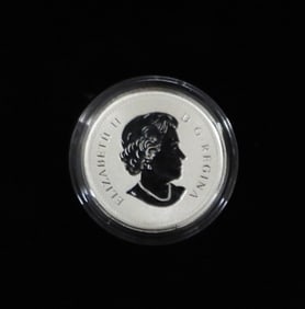 2013 $20 YEAR of the SNAKE 1/4oz SILVER