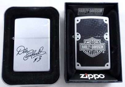 (2) 2010 HARLEY & 2002 DALE EARNHARD #3