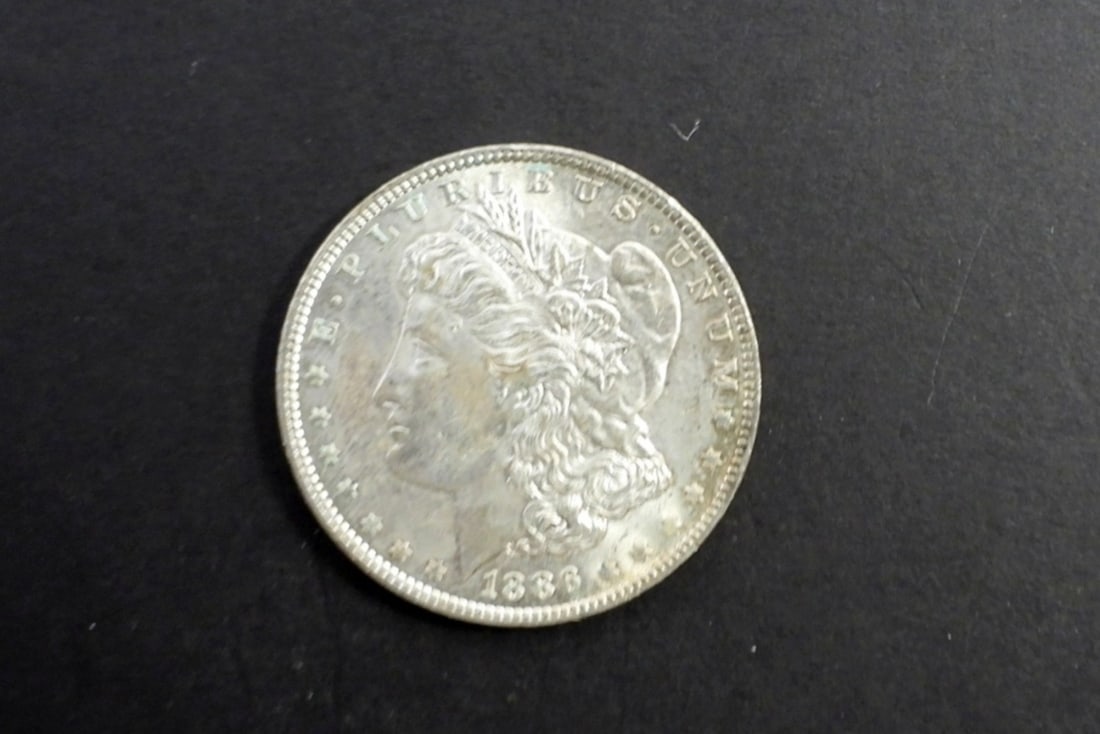 1886 MORGAN DOLLAR BU (1 of 2)