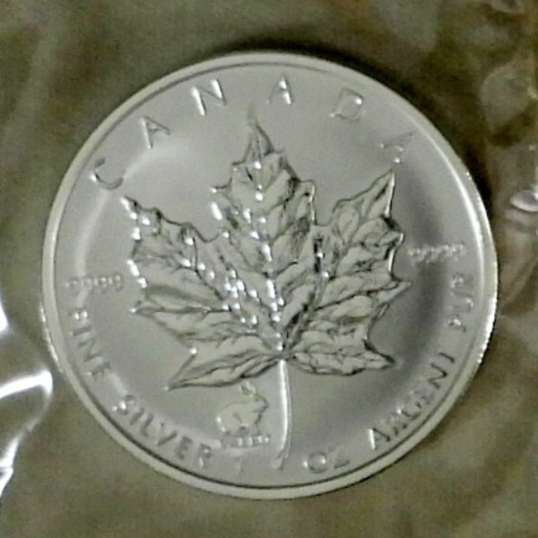 1999 CANADA $5 MAPLE LEAF 1OZ 9999 FINE SILVER (1 of 2)