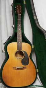 MARTIN ACOUSTIC 1966