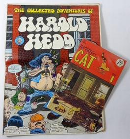 (2) UNUSUAL "ADULT" COMICS - HAROLD HEDD