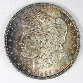 1896 Morgan Silver Dollar