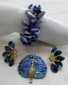 PEACOCK PRETTY & COOL BLUE JEWELRY LOT