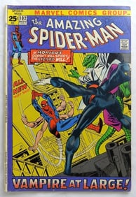 1971 AMAZING SPIDER-MAN #102 MARVEL