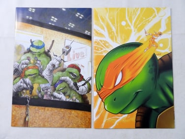 (2)MODERN TEENAGE MUTANT NINJA TURTLES #1