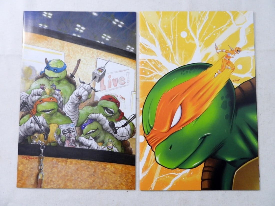 (2)MODERN TEENAGE MUTANT NINJA TURTLES #1: (2)MODERN TEENAGE MUTANT NINJA TURTLES #1 ( VF-XF)