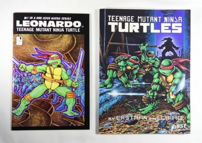 1989 TMNT FIRST GRAPHIC NOVEL plus