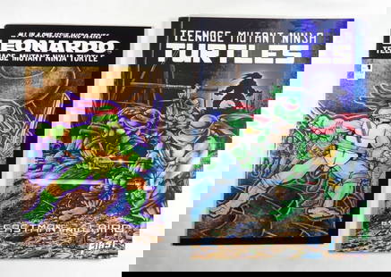 1989 TMNT FIRST GRAPHIC NOVEL plus: LEONARDO #1 MICRO SERIES TMNT - BOTH HIGH
