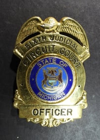 SIXTH JUDICIAL CIRCUIT COURT BADGE