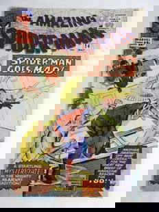 1965 MARVEL THE AMAZING SPIDERMAN #24: missing 24 pages "SPIDERMAN GOES MAD!"