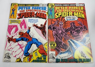 (2) Peter Parker The Spectacular Spider-Man
