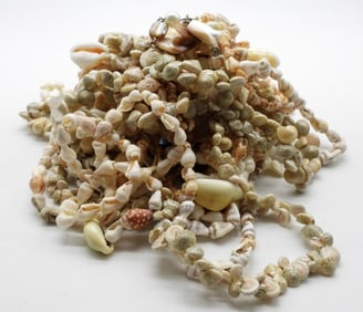 8 Shell Necklaces