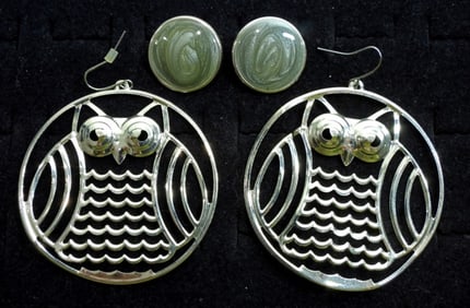Pretty Silver Tone Owl Earring Set