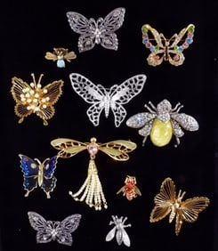 12 Bug Brooches
