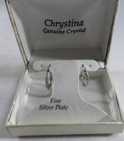 A Pair Of Hoop Earrings
