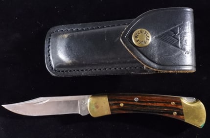 Buck 110 Hunter Folding Knife