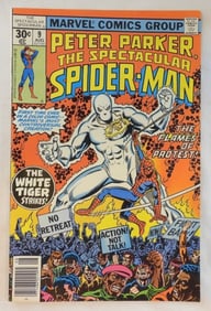 Peter Parker The Spectacular Spider-Man #9