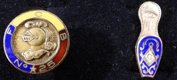 (2) Insignia Pins
