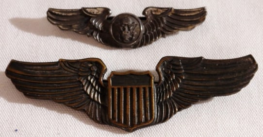 2 United States Air Force Wing Badges/Pins